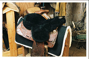Saddle Seat Cover
